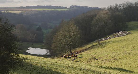 Below Tresham
