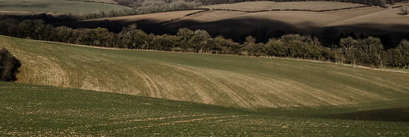 Above Colesbourne, Gloucestershire