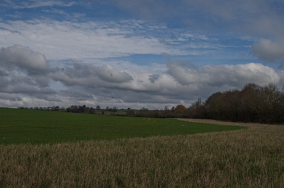 In the Evenlode Valley, near Adlestrop