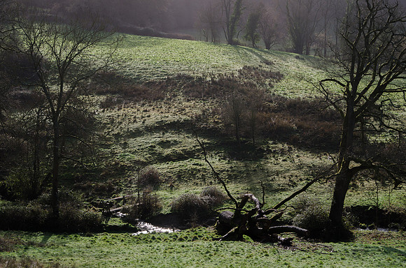 Below Haregrove, Cranham, Gloucestershire
