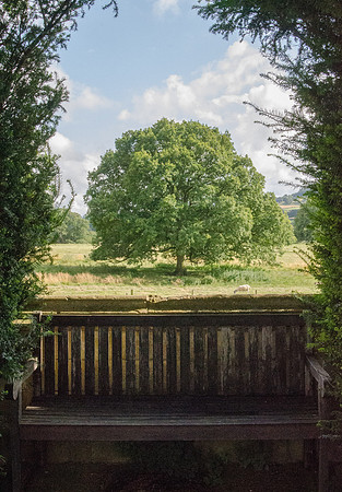 From Sudeley Castle gardens, Gloucestershire