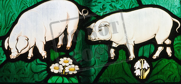 Eof's pigs, a detail from the Betty Goodall window, St Lawrence's Church, Evesham, by Geoffrey Webb (1938)