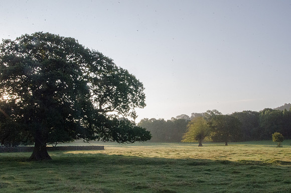 Unploughed for a while: Leckhampton
