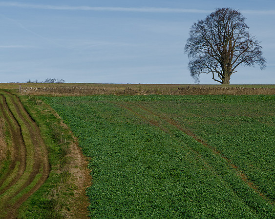 Between Hazleton and Salperton