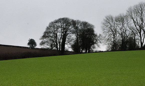 near Througham: January