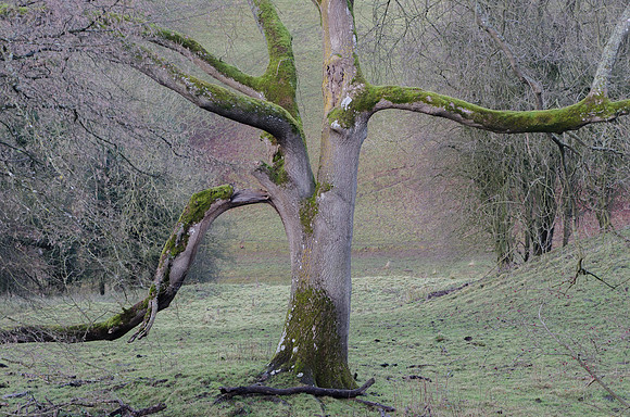 Below Tresham, Gloucestershire