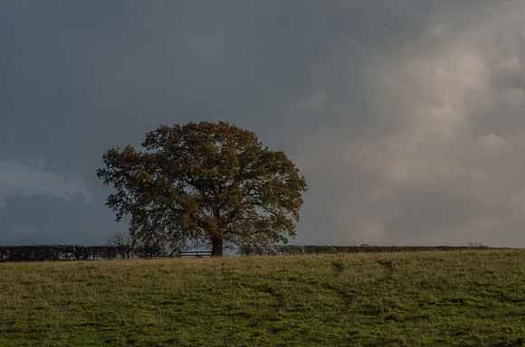 near Tirley